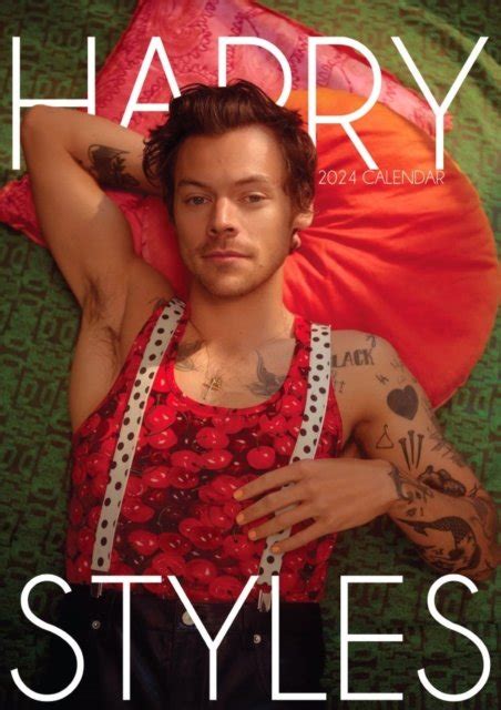 harry styles 2024 pics.